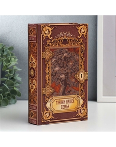 Шкатулка книга-сейф Nobrand