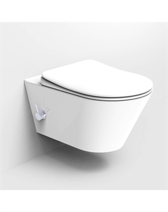 Унитаз подвесной Avva 972-2-W без крышки, с функцией биде, белый глянец Boheme