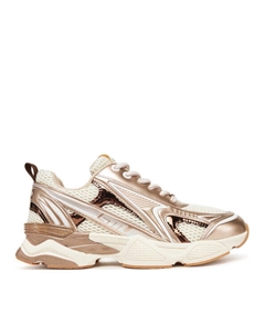 Кроссовки Speedster-E SM19000122, золотой Steve madden