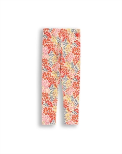 Леггинсы, красочный Coccodrillo