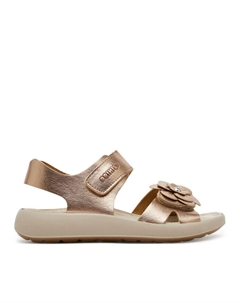 Сандалии 7898622 D, золотой Primigi