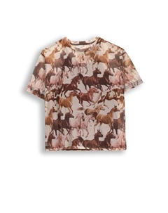 Футболка, бежевый Coccodrillo