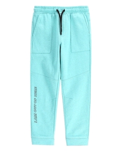 Спортивные брюки обычного кроя WC5120103CBK, голубой Coccodrillo