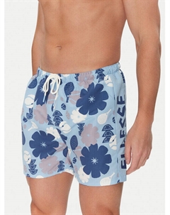 Плавки-Шорты обычного кроя Pinareo 2 SHZ22072, синий Ellesse