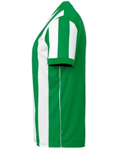 Функциональная рубашка Retro Stripe Shirt Kurzarm , зеленый Uhlsport