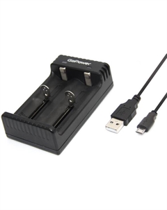 Зарядное устройство GoPower 00-00015360 для аккумуляторов LiCharger 4 Ni-MH/Ni-Cd/Li-ion/IMR 2 слота Gopower