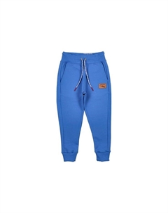 Спортивные штаны осень зима, синий Lagarto verde