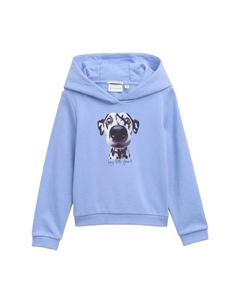 Детская толстовка с капюшоном из хлопка, синий Tom tailor