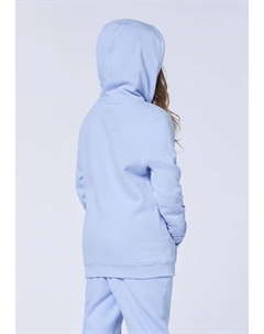 Толстовка с капюшоном и вышитыми этикетками, цвет 16-3922 brunnera blue Polo sylt