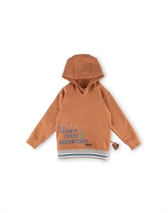 Толстовка лесное приключение для детей, коричневый Sigikid