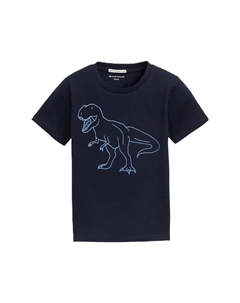 Футболка хлопковая детская, цвет 10668 sky captain Tom tailor