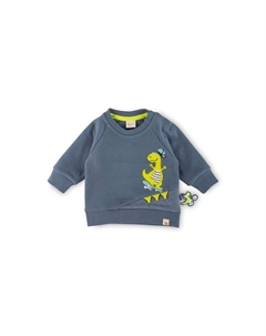 Спортивная толстовка с динозавром для малышей, синий Sigikid