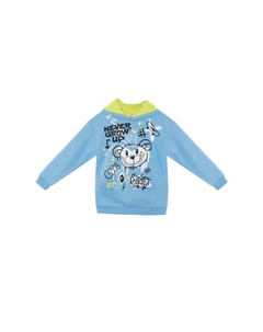 Толстовка с крутым медведем, голубой Denokids