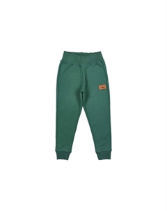 Спортивные штаны осень зима, зеленый Lagarto verde