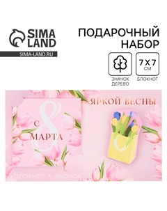 Подарочный набор, блокнот и значок Artfox