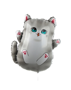 Воздушные шары фольгированные 28 Leti