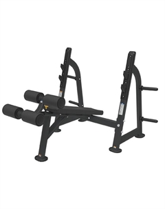 Скамья для жима с отрицательным наклоном BR-1013 Bronze gym