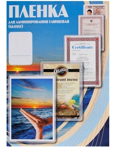 Пленка PLP10640 426x600 (100 мкм) 100 шт. Office kit