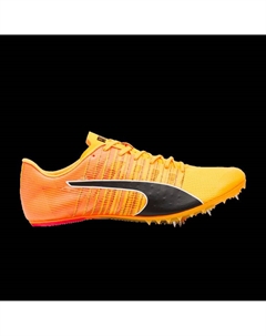 Кроссовки evoSpeed Future 6 'Sun Stream', оранжевый Puma