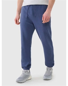 Спортивные штаны, синий 4f