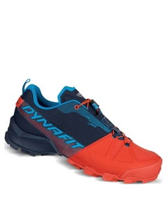 Кроссовки Transalper GTX, синий Dynafit