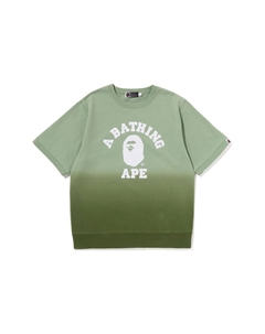 BAPE College Gradation S/S Толстовка с круглым вырезом, коричневый A bathing ape®