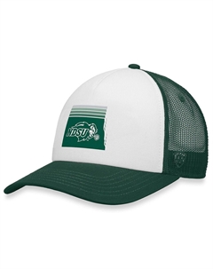 Мужская бело-зеленая кепка NDSU Bison Tone Down Trucker Snapback Top of the world