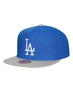 Мужская кепка Snapback Royal Los Angeles Dodgers Cooperstown Collection Evergreen Mitchell and ness