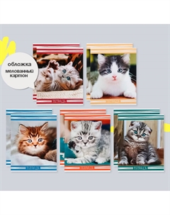 Комплект тетрадей из 10 штук, 12 листов в клетку Calligrata