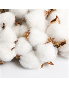 Букет из хлопка Арт узор