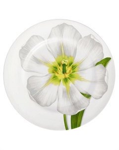 Тарелка обеденная Freedom. Flower Taitu