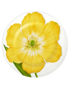 Тарелка обеденная 27см Freedom. Flower Taitu