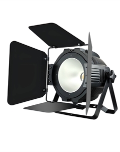 Прожекторы театральные STAGE PAR COB200CWW (v.2) Stage 4