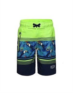 Быстросохнущие эластичные шорты для мальчиков, плавки-шорты с сетчатой подкладкой UPF50+ для мальчиков, зеленый Rokka&rolla