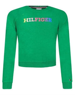 Джемпер монотипный свитшот Loose fit, зеленый Tommy hilfiger