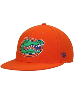 Мужская оранжевая приталенная шляпа Florida Gators Team Color Top of the world
