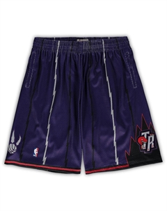 Мужские шорты mitchell ness purple toronto raptors big tall hardwood classics team swingman, фиолетовый Mitchell and ness