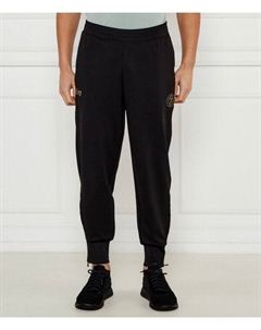 Брюки Regular fit, черный Ea7