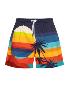 Плавки-шорты с графическим принтом, синий Dsquared2