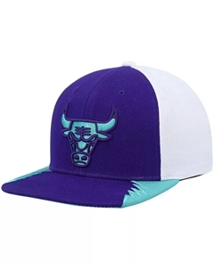 Мужская фиолетовая кепка Snapback Chicago Bulls Day 5, фиолетовый Mitchell and ness