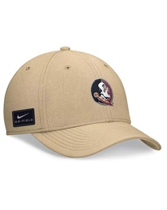 Мужская золотая кепка с логотипом Florida State Seminoles 2024, золотой Nike