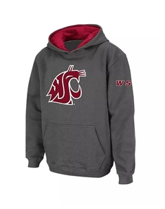 Темно-серый пуловер с капюшоном и большим логотипом Big Boys Washington State Cougars, серый Colosseum