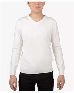 Базовый свитер с v-образным вырезом для мальчика, бежевый Xray