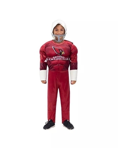 Костюм для игрового дня Big Boys Cardinal Arizona Cardinals Jerry leigh