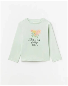 Базовая футболка с длинными рукавами, светло-зеленый Сфера