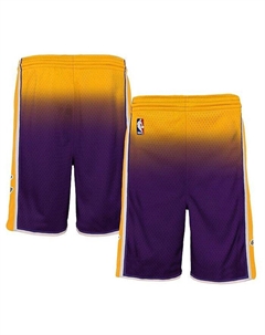 Шорты Big Boys Gold, Purple Los Angeles Lakers 2009/10 Hardwood Classics Fadeaway Reload 3.0 Swingman, золотой/фиолетовый Mitchell and ness