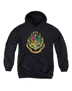 Толстовка с капюшоном и гербом Хогвартса Youth, черный Harry potter
