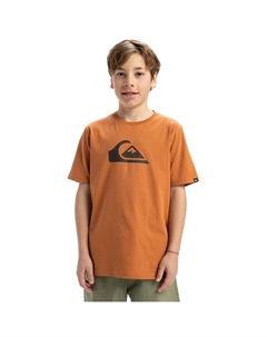 Детская футболка с логотипом EV Comp, коричневый Quiksilver
