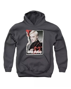 Толстовка с капюшоном Draco Frame для мальчиков и девочек, серый Harry potter