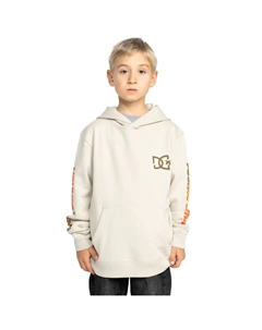 Детская толстовка Hot Box, серый Dc shoes